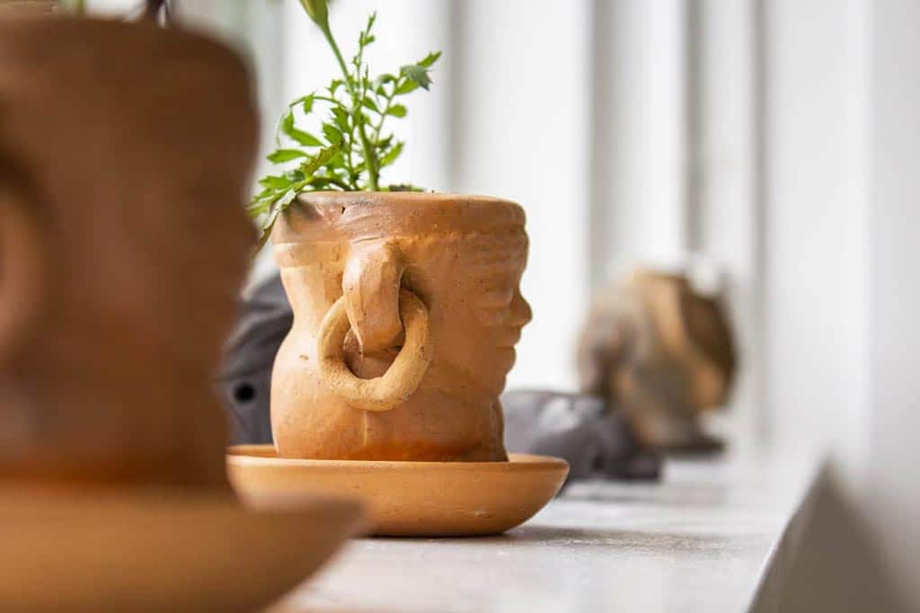 Clay pot shaped like a head with a large earring, with small plant growing in it.