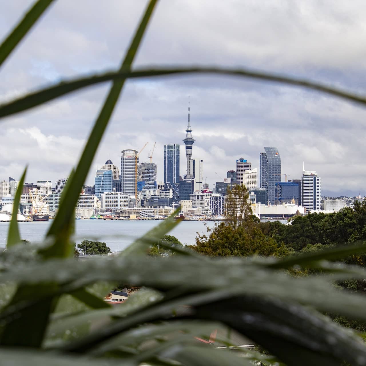 View of Auckland City from Kerr St Whare Toi.