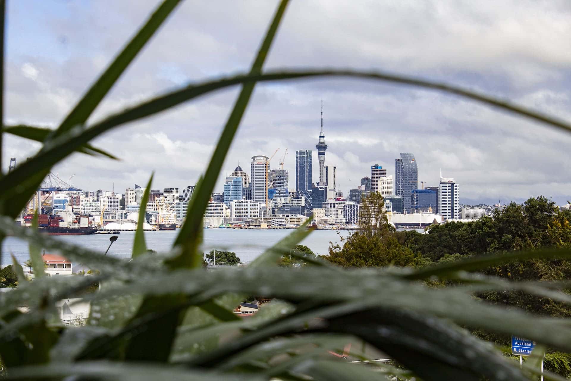View of Auckland City from Kerr St Whare Toi.